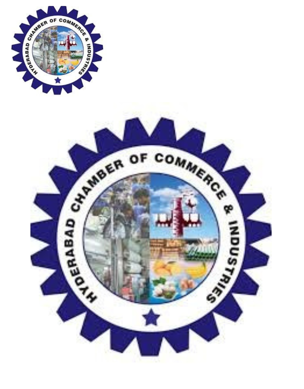 Mr. Ziauddin Qureshi